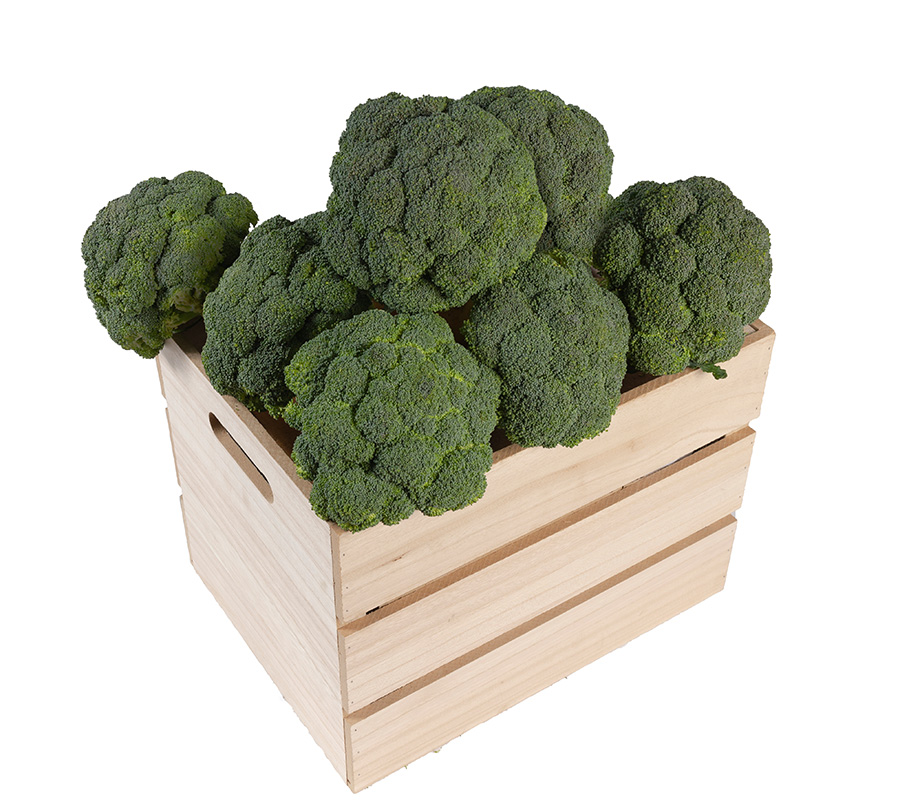 producator broccoli dambovita