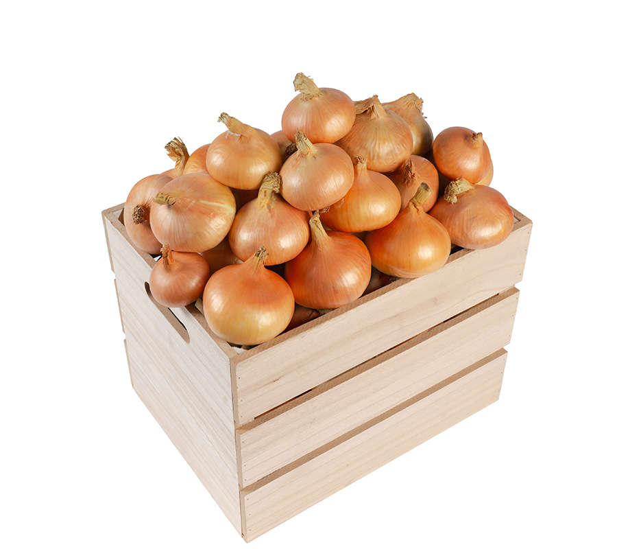 producator ceapa dambovita