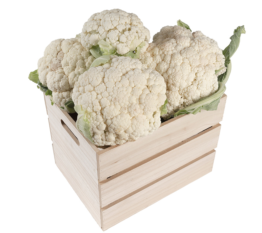 producator conopida dambovita